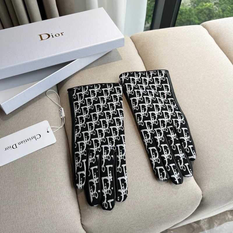 Christian Dior Gloves